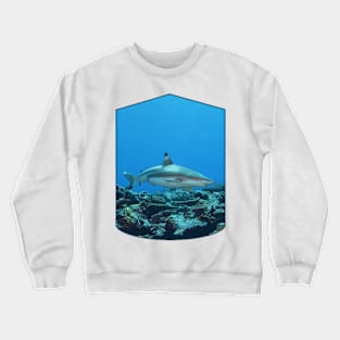 Blacktip | Reef shark at coral reef of Yap Island in Micronesia | Crewneck Sweatshirt